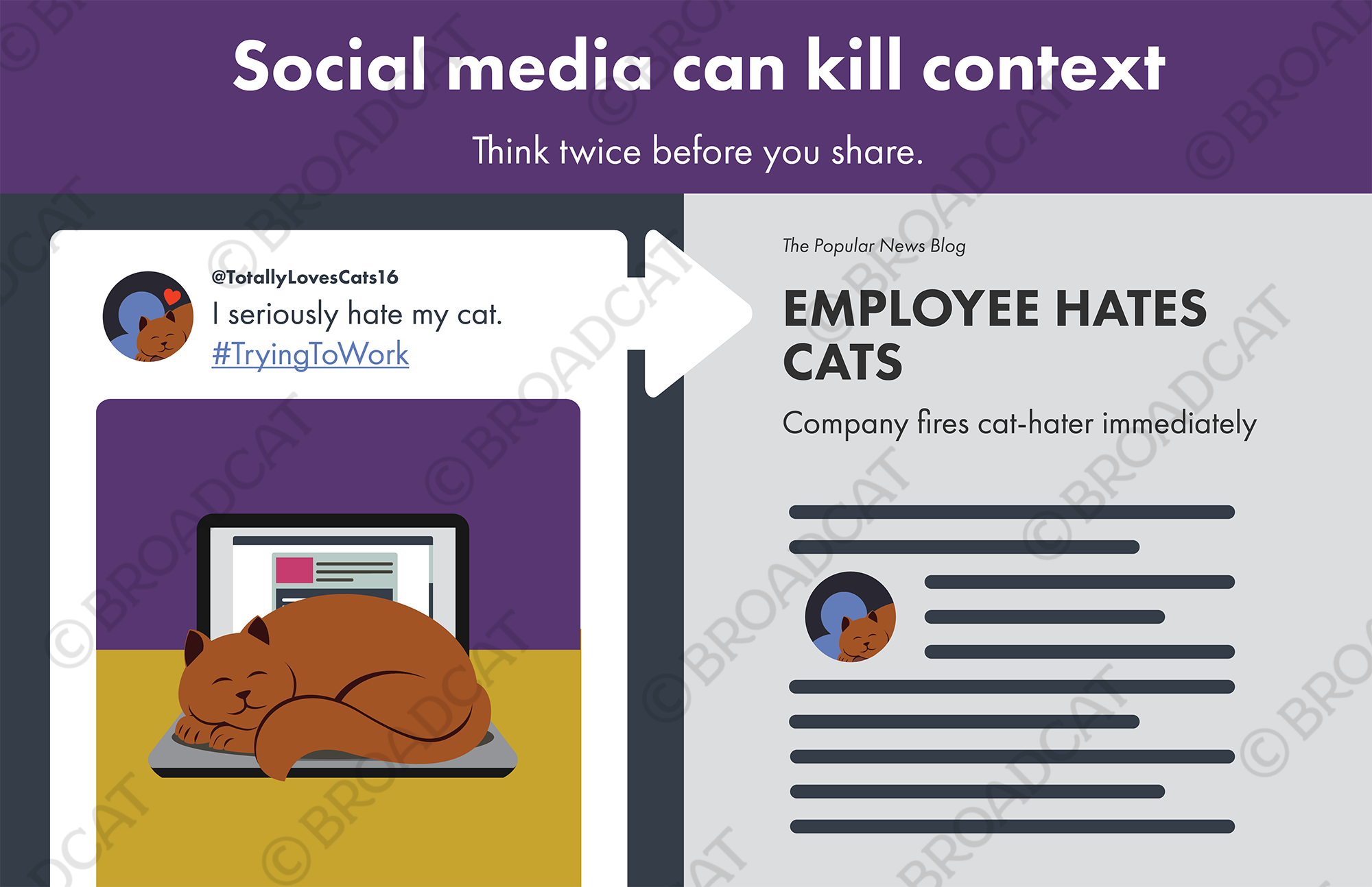 Social media can kill context, also cats