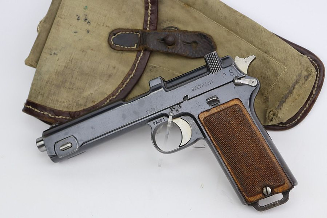 Steyr Hahn Model 1911 Rig - Mountain Company - 1