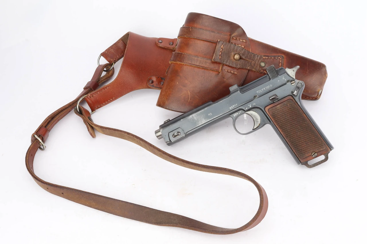 Very Nice Steyr Hahn Model 1912 Rig - Nazi Police Conversion - photo 1 of 18