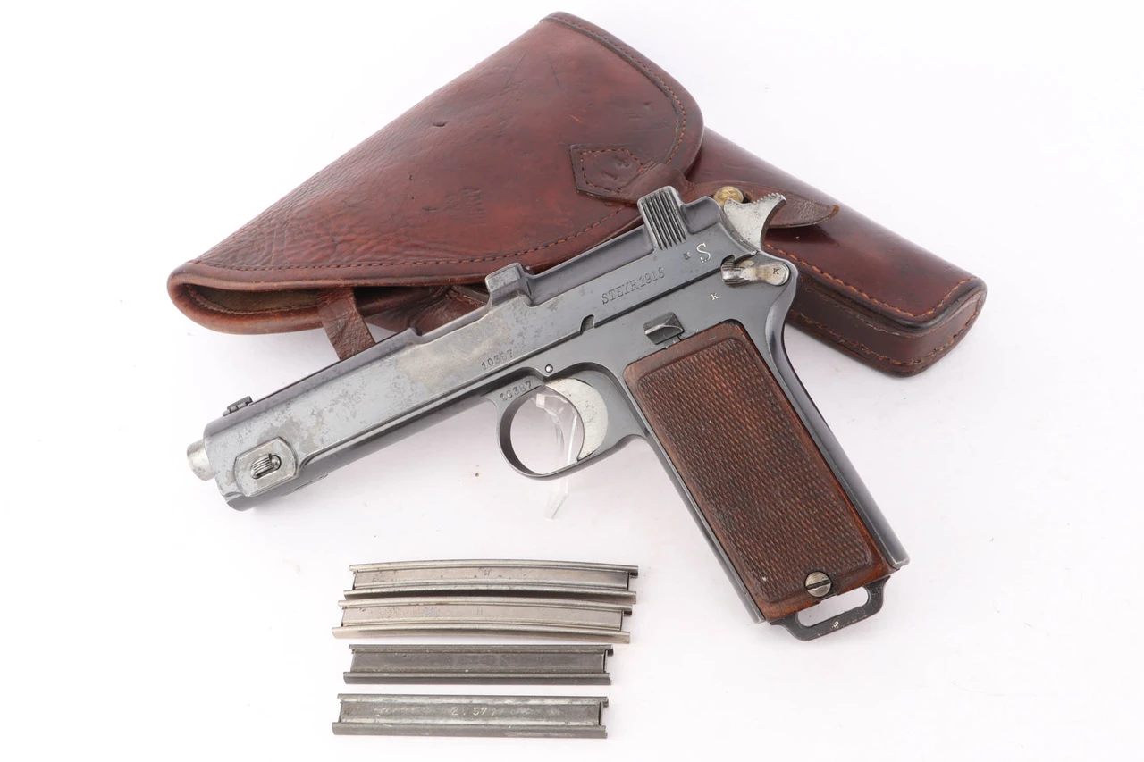 1918 Austro-Hungarian Steyr Hahn Model 1912 Rig - complete rig with pistol, holster and stripper clips