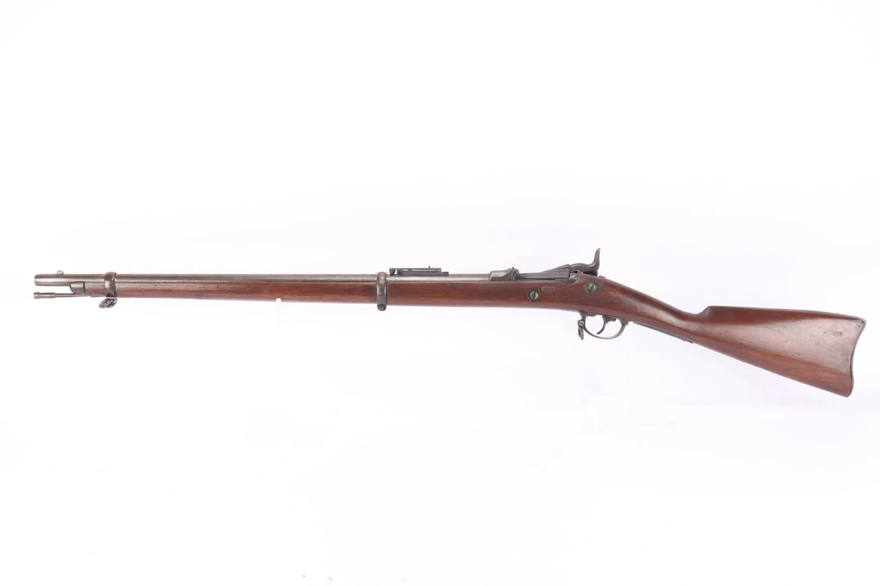 1884 Springfield Model 1884 Trapdoor .45-70 rifle - left side view