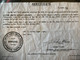 Excellent 1938 Nazi Mauser Luger - Capture Paper - 16
