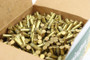 Remington 525 Round Golden Bullet Pack .22LR - 4