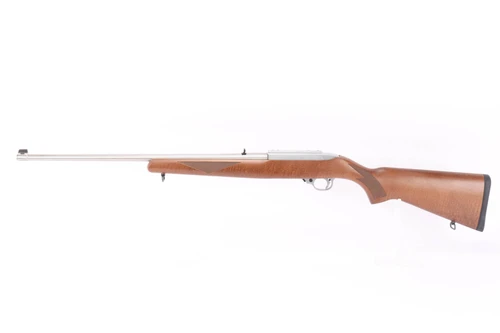 ANIB Ruger 10/22 - Stainless