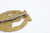 RARE Commerce Raider Badge - 5