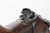 1943 FEG jhv G98/40 rifle - bolt and receiver close-up