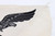 Luftwaffe Eagle Sport Shirt Patch - 3 Luftwaffe Eagle Sport Shirt Patch - 3