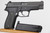 ANIB SIG Sauer P226 & Conversion Kit - 4