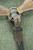 "Der Spiess" German Werchmacht NCO Uniform Set - 16