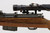 Late War Walther K43 w/ Zf.4 Scope - 1945 mfg - 4