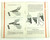Scarce - First Series Walther PP/PPK Police Pistol Manual - 4