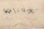 Small Japanese Flag - photo 3 of 3