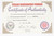 Excellent International Harvester M1 Garand - Expert Grade - photo 23 of 24