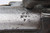 U.S. Model 1836 Flintlock Cavalry Pistol by R. Johnson Converted to Percussion - dated 1840 - photo 7 of 12