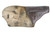 Italian Beretta Model 1934 Rig - Blank Slide - photo 16 of 17