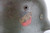 M35 Double Decal Heer Helmet - photo 6 of 10