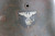 Rare M42 RAD Combat Helmet - photo 5 of 11