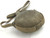 SOLD - Japanese WWII Navy Landing Force Enlisted Canteen