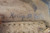 Rare German Tan WWII P38 Holster - photo 4 of 7