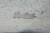Rare Luftwaffe Survival Machete - photo 10 of 12