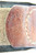 Gott Mit Uns- Heer Enlisted Buckle with Belt (Field Gray) - photo 4 of 5