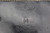 beh 7x50 Kriegsmarine Binoculars - photo 11 of 11