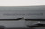 Nice Yugo Zastava Model 70 Rig - 7.65mm - photo 8 of 16