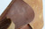 SOLD -  Nazi FN Browning High Power Rig SOLD -  Nazi FN Browning High Power Rig