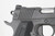Mint Nighthawk Custom Agent 2 - photo 8 of 19