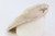 SOLD - Kriegsmarine Sailors White Top Cover SOLD - Kriegsmarine Sailors White Top Cover