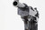 Rare, Third Variation "Zero Series" Walther P.38 Rig - photo 10 of 17