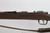 Japanese Type I Carcano Rifle - photo 4 of 21