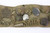 WWI Souvenir Belt - photo 4 of 15