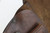 Pieper Bayard Model 1908 pocket pistol rig - holster leather close-up