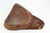 Japanese Type 14 Nambu Hardshell Holster - photo 1 of 5