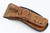 Engraved gold inlaid Colt Model 1902 Military pistol - holster front