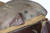 Excellent 1936 Mauser Luger Rig - Two Matching Magazines - photo 24 of 25