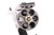 Nice Japanese Type 26 Revolver - photo 6 of 6