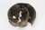 Uncommon "Bell L" M16 Helmet - view 10