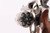 Nickel Smith & Wesson Military & Police revolver with box - open cylinder rear close-up