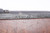 Very Rare, Matching Mauser G.41(M) - 1942 mfg - photo 17 of 29