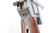 Rare, Early, Large Ring Hammer Mauser C96 Rig - Matching Stock - photo 8 of 17
