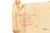 Sealed M16 Magazines - photo 4 of 4