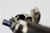 Colt Model 1878 Revolver - With Factory Letter - 9