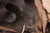 WW2 Era Japanese Type 90 Helmet - view 7