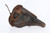1936 Luger Holster and Tool