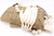 Reproduction  WW2 T5 Parachute Set