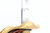 Imperial German General's Dress Sword - view 6