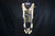 WW2 US Parachute Harness - photo 2 of 6