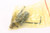 ANIB Kimber 82 Government - CMP - photo 21 of 28